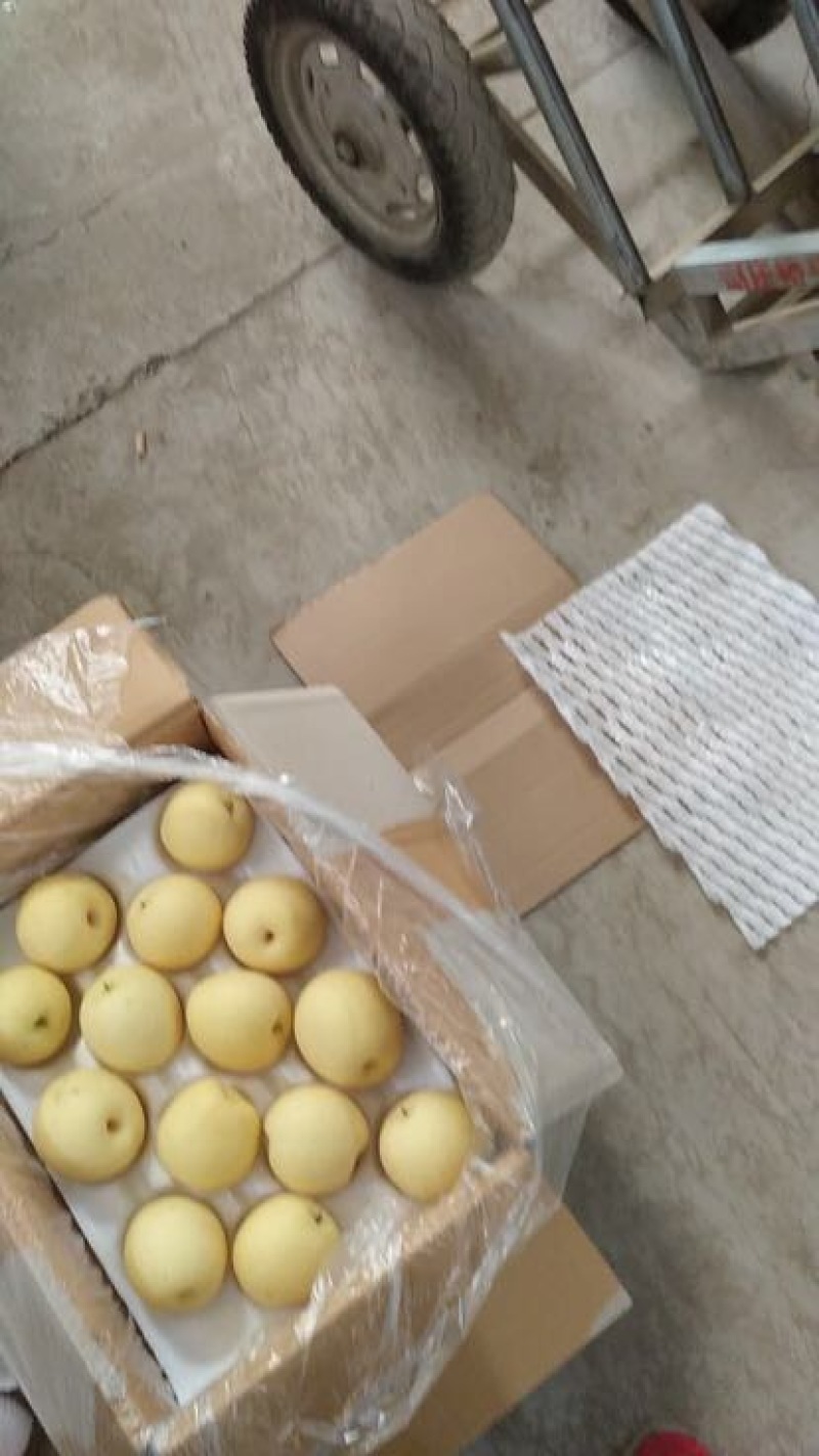 皇冠梨纸箱250~300g
