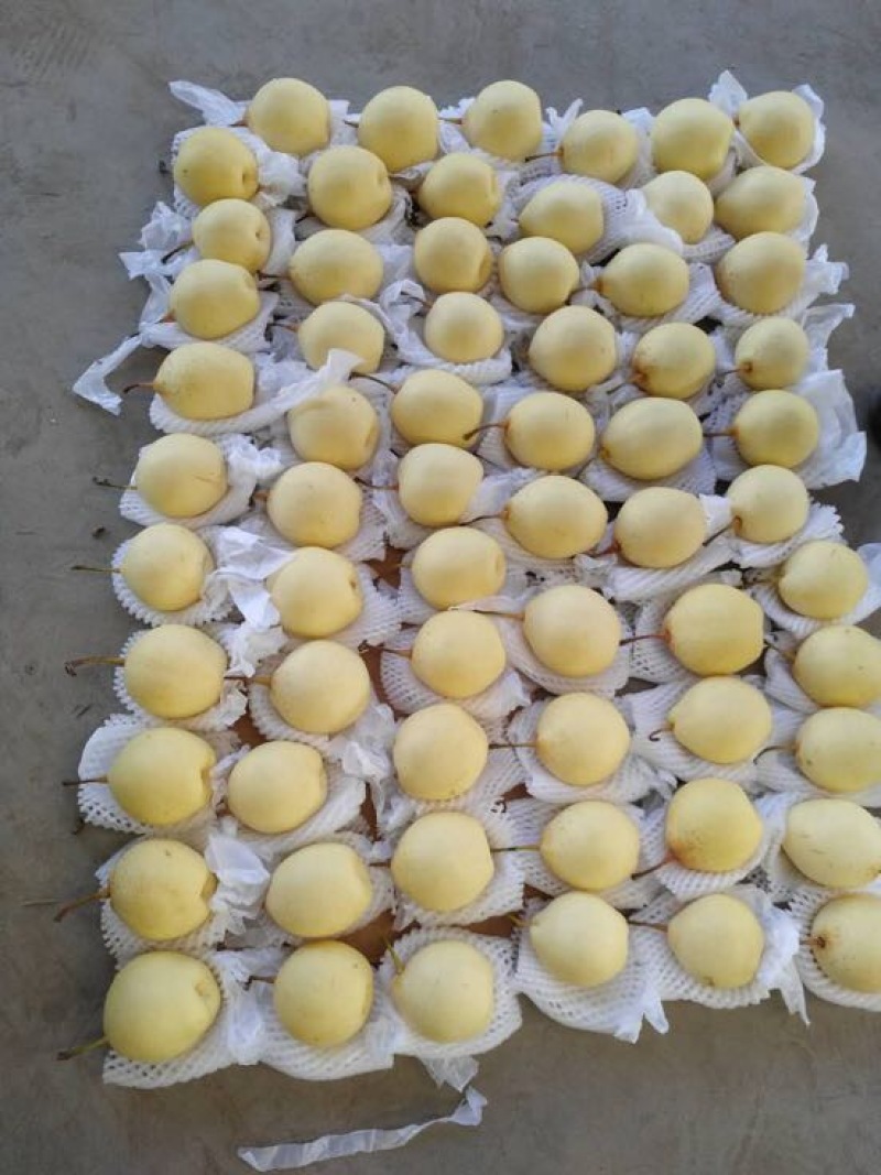 皇冠梨纸箱250~300g