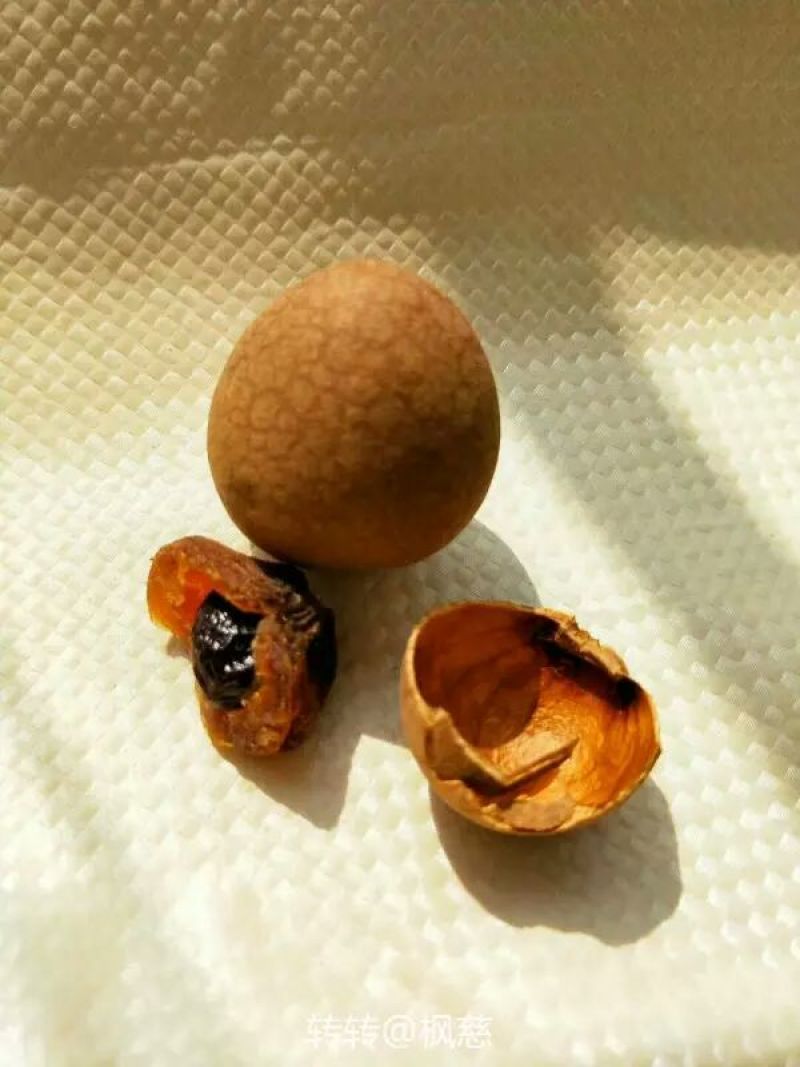 桂圆大桂圆干8A优质龙眼干莆田特产大桂圆肉20斤整箱批发