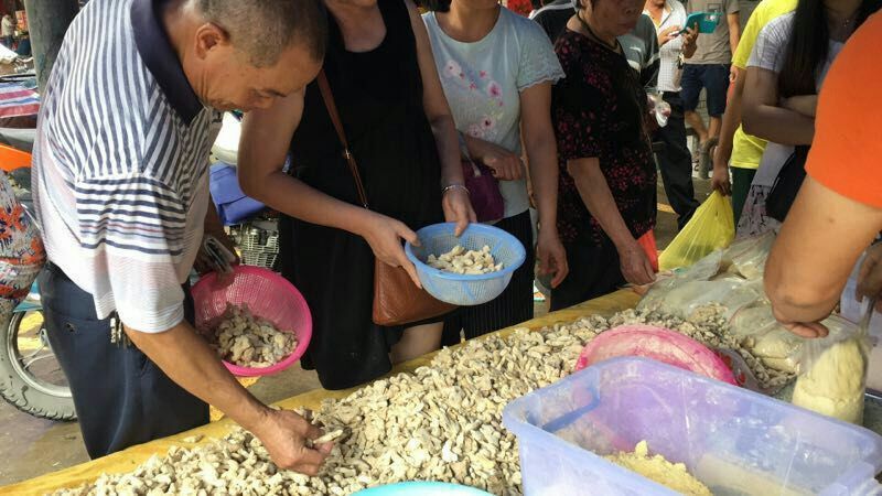 云南小黄姜干姜块现场打粉模式专用配广告