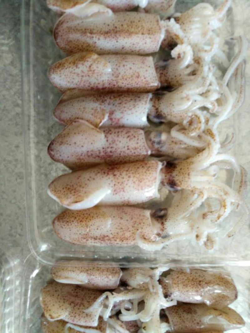 鱿鱼精品鱿鱼仔