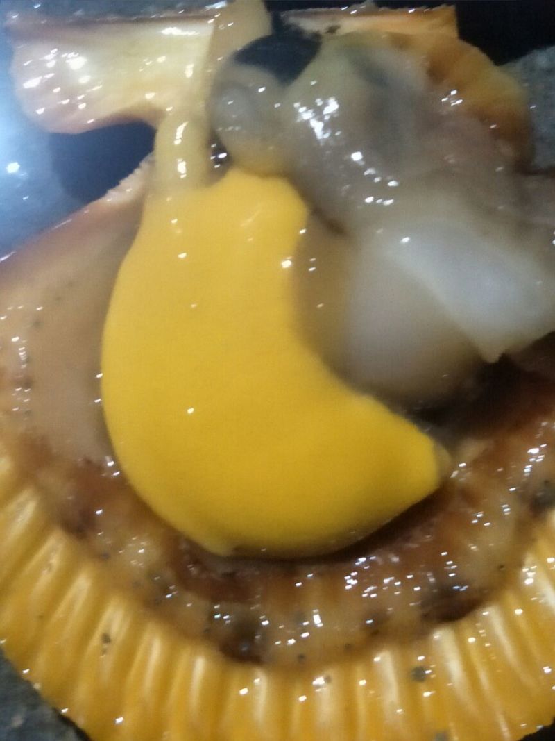 扇贝食用鲜活一斤10只