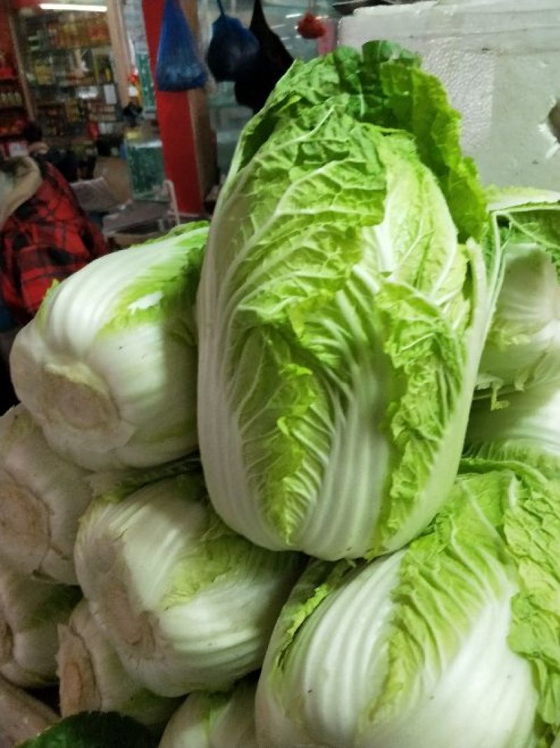 黄心白菜，净菜，4~6斤，品质好，耐运输