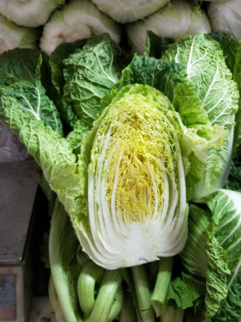 黄心白菜，净菜，4~6斤，品质好，耐运输