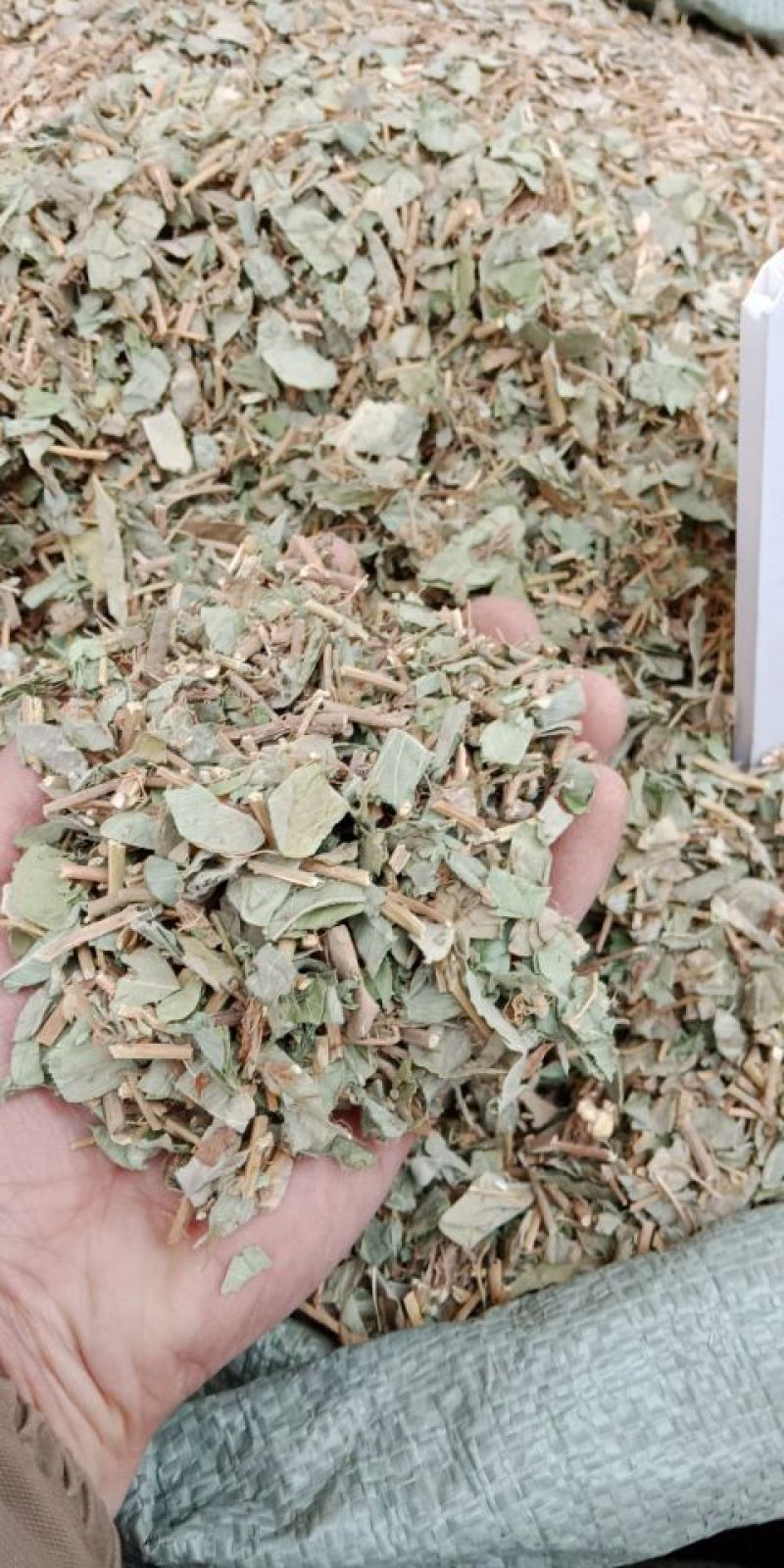 金钱草
