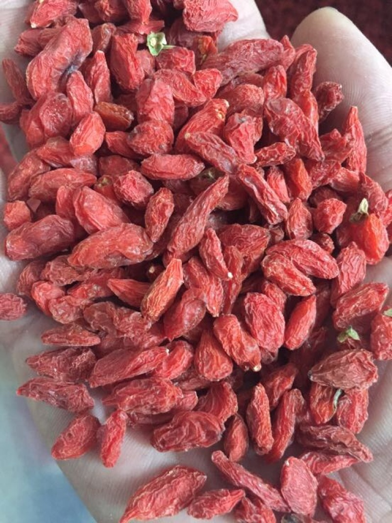 红枸杞干货头茬