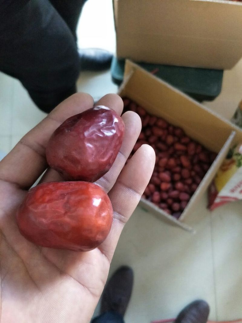 红枣一级干枣