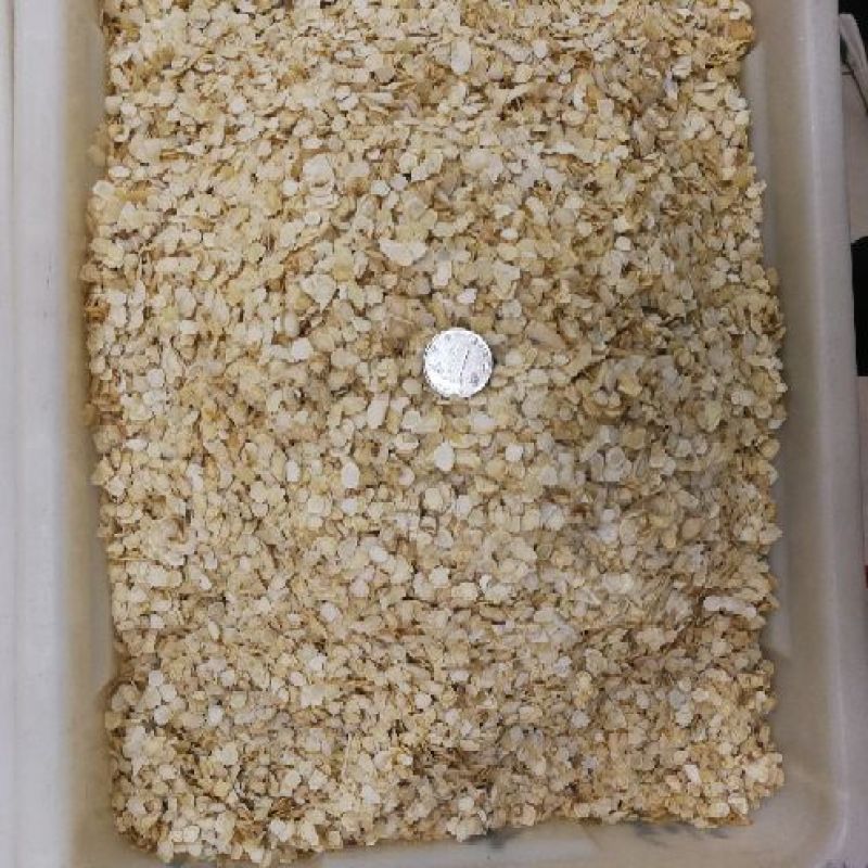 花旗参片西洋参0.6小片无硫