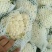 菜花1斤紧密乳白精品，物美价廉，欢迎选购