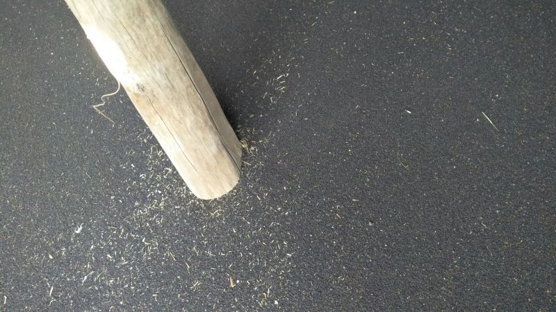 油菜籽1级