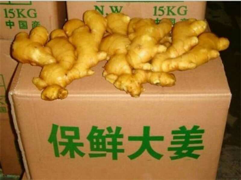 生姜大黄姜鲜姜《电商超市出口》老姜全国发货