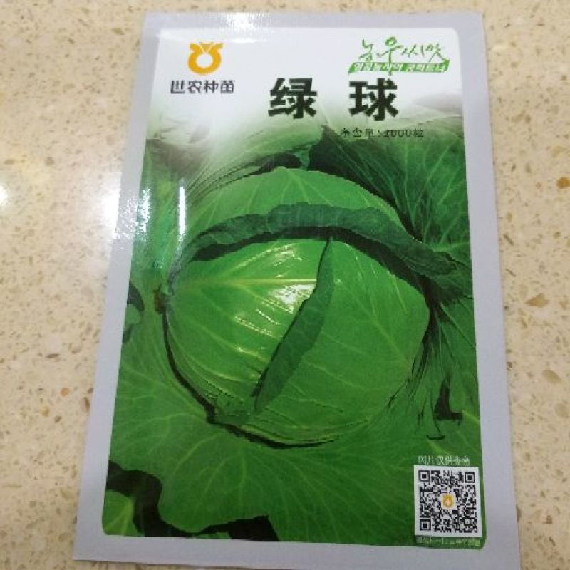 世农703甘蓝种子世农绿球甘蓝种子