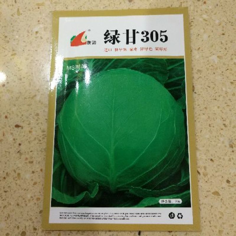 世农703甘蓝种子世农绿球甘蓝种子