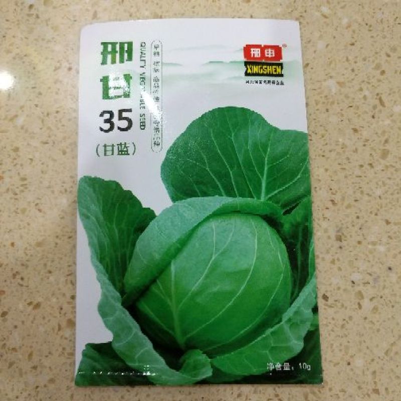 世农703甘蓝种子世农绿球甘蓝种子