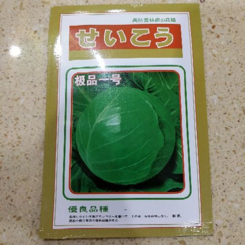 世农703甘蓝种子世农绿球甘蓝种子