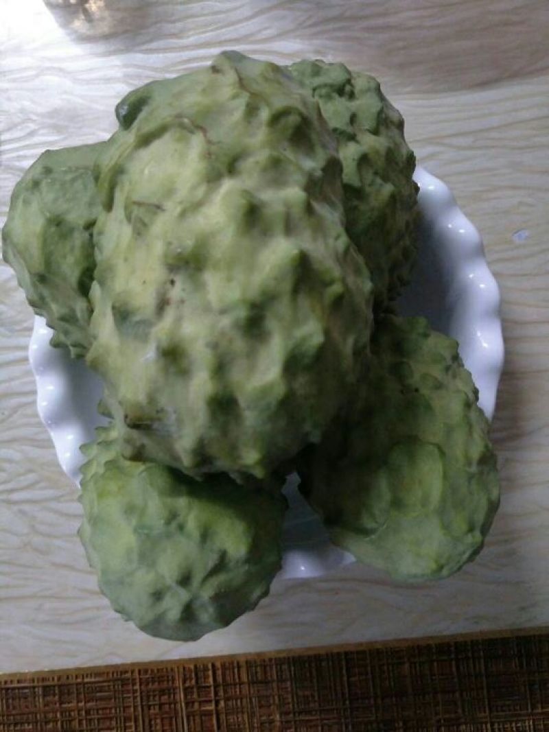 番荔枝苗30~50cm