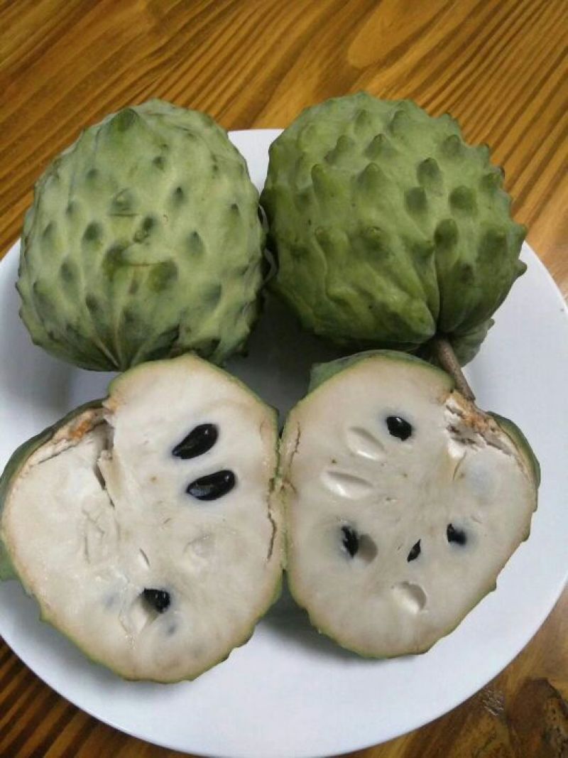 番荔枝苗30~50cm
