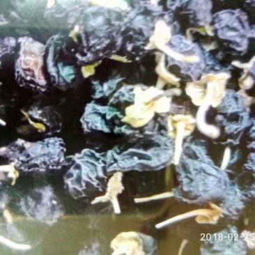 枸杞头茬干货