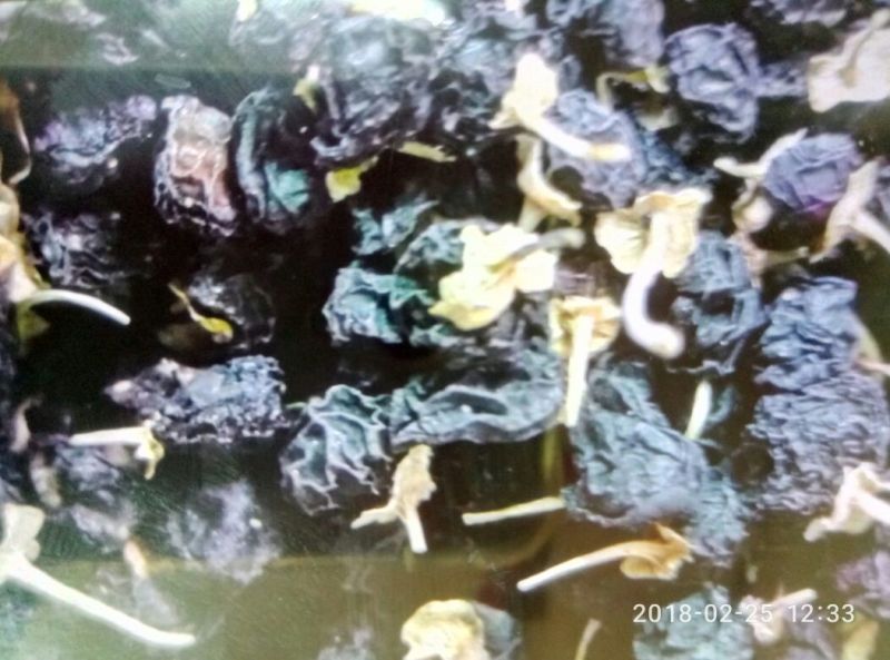枸杞头茬干货
