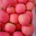 红富士苹果山东苹果-甜美中国可以视频看货-有专业人士挑