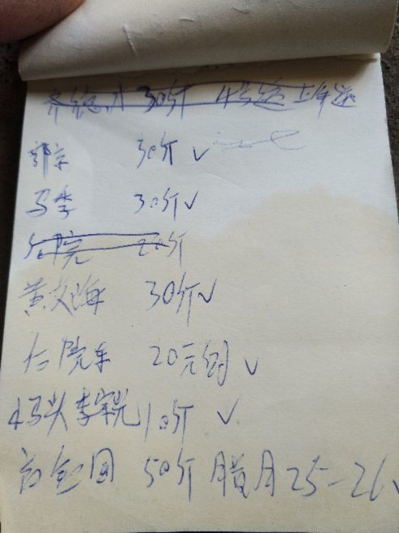 豆腐湿豆腐