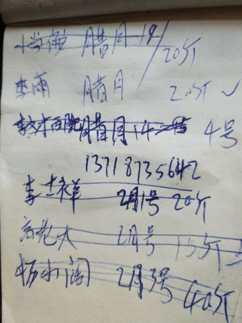 豆腐湿豆腐