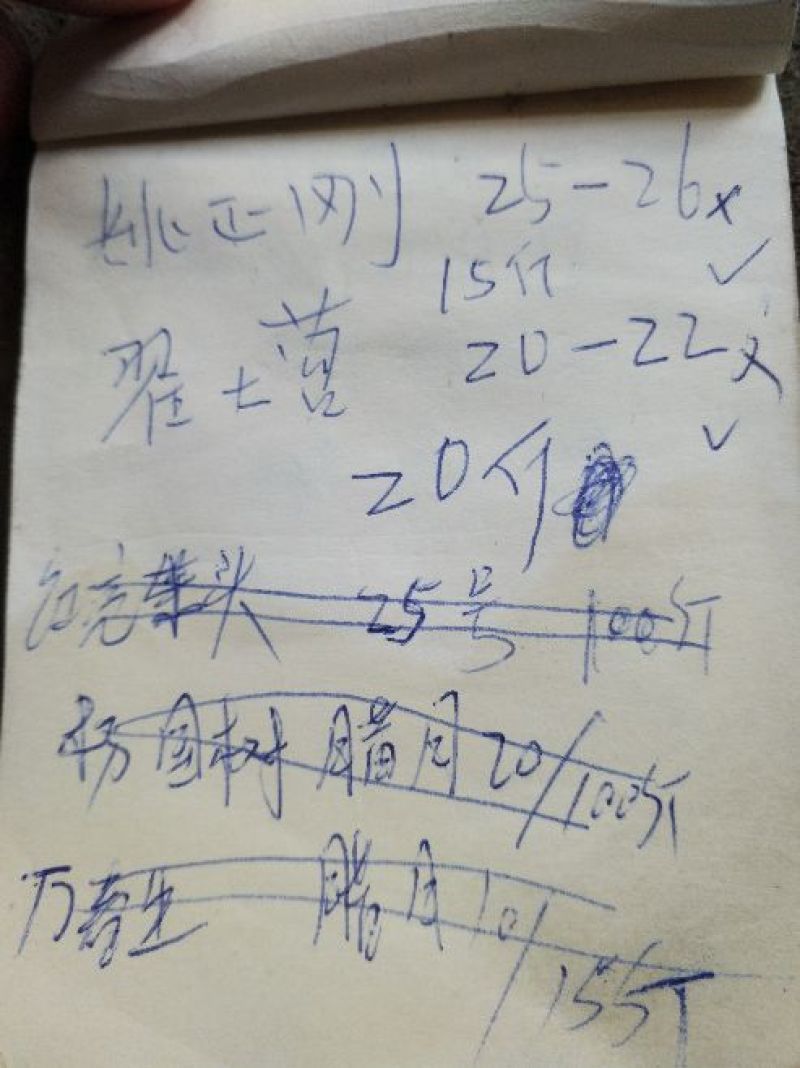 豆腐湿豆腐