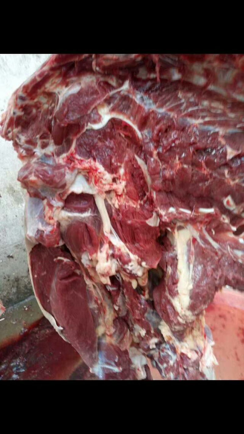正宗新鲜驴肉，带皮驴肉，可远程视频屠宰