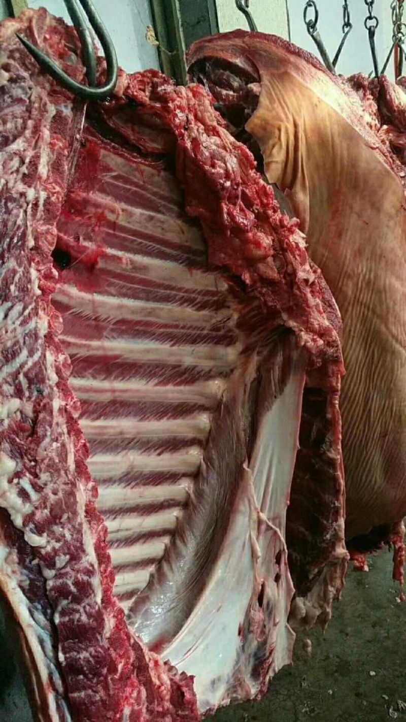 正宗新鲜驴肉，带皮驴肉，可远程视频屠宰