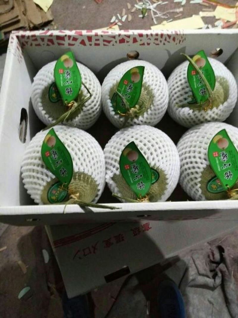 网纹瓜椭圆形