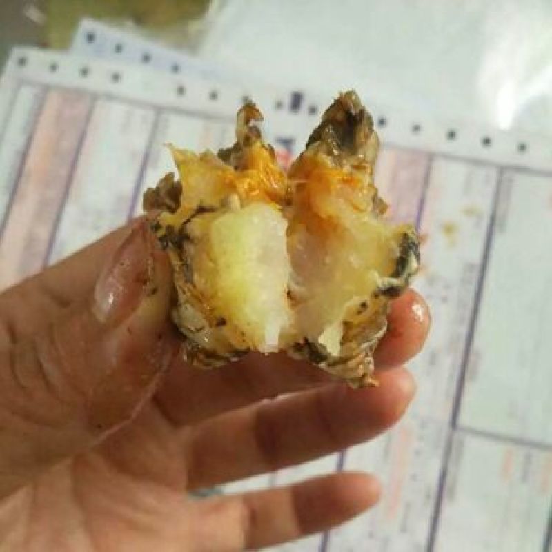香辣蟹大闸蟹麻辣蟹