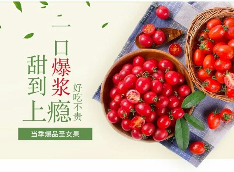 千禧圣女果30g以上