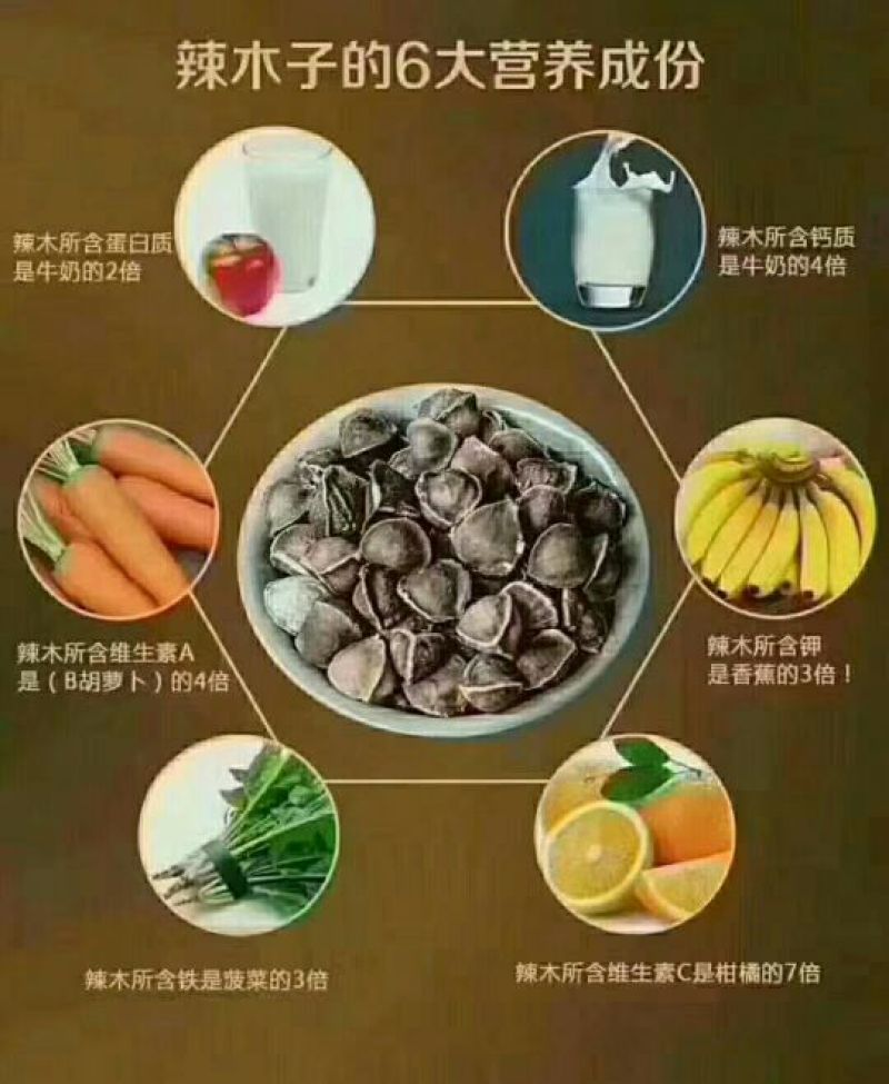印度辣木籽，保质保量在青海格尔木发货，需要的联系我