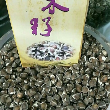 印度辣木籽，保质保量在青海格尔木发货，需要的联系我