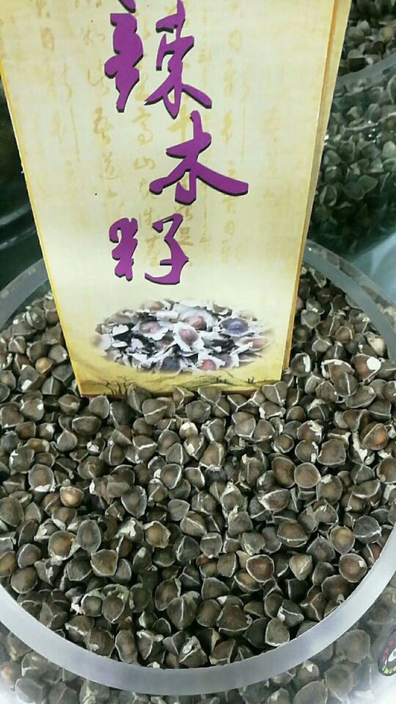 印度辣木籽，保质保量在青海格尔木发货，需要的联系我