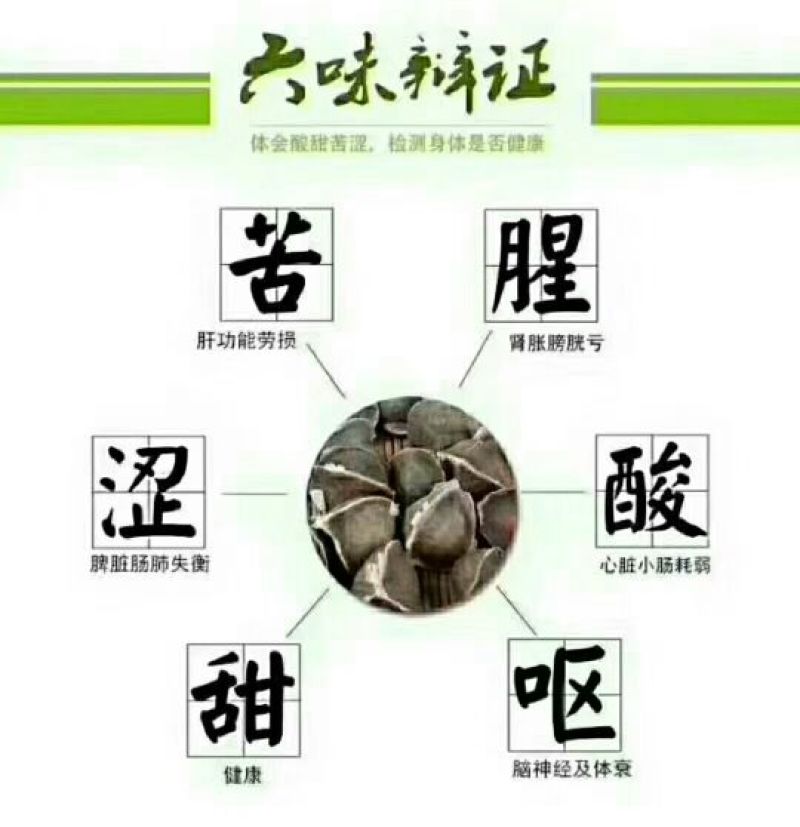 印度辣木籽，保质保量在青海格尔木发货，需要的联系我