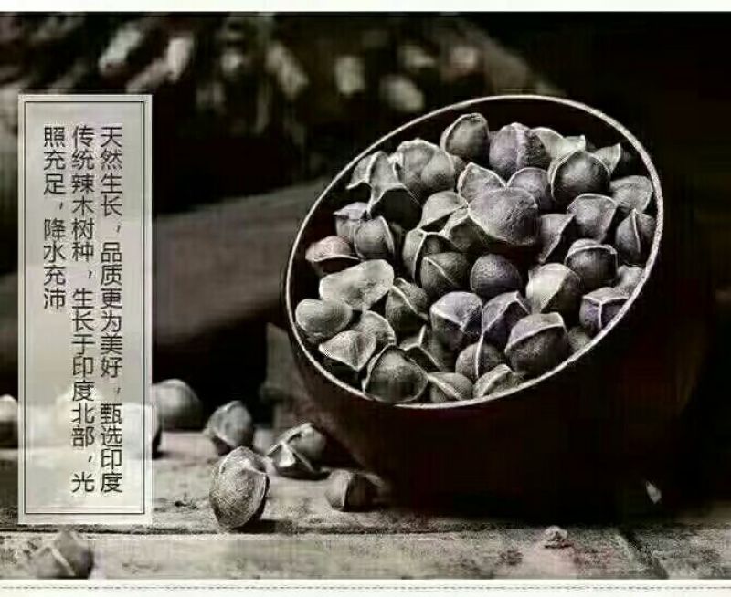 印度辣木籽，保质保量在青海格尔木发货，需要的联系我