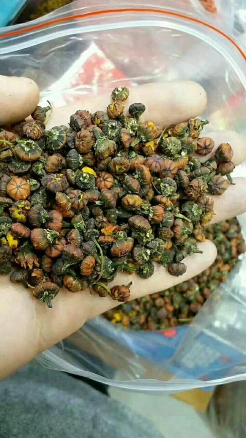 胎菊王袋装瓶子装，散装都有货，需要的联系我