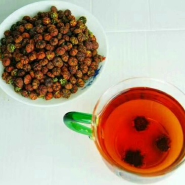 胎菊王袋装瓶子装，散装都有货，需要的联系我