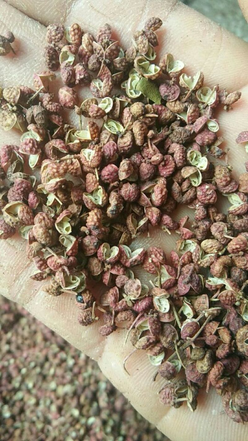 （特级精品）大红袍花椒一手货源、产地直销、量大优惠