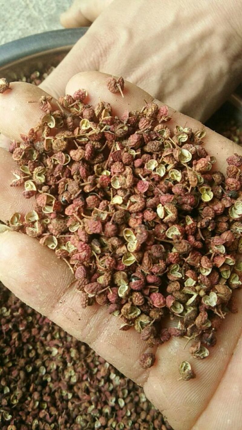 （特级精品）大红袍花椒一手货源、产地直销、量大优惠