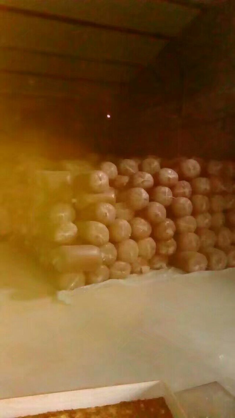 黄粉虫饲料