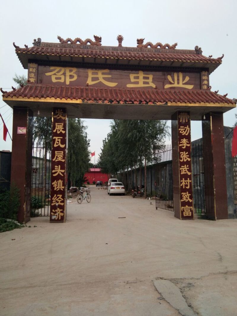 黄粉虫饲料