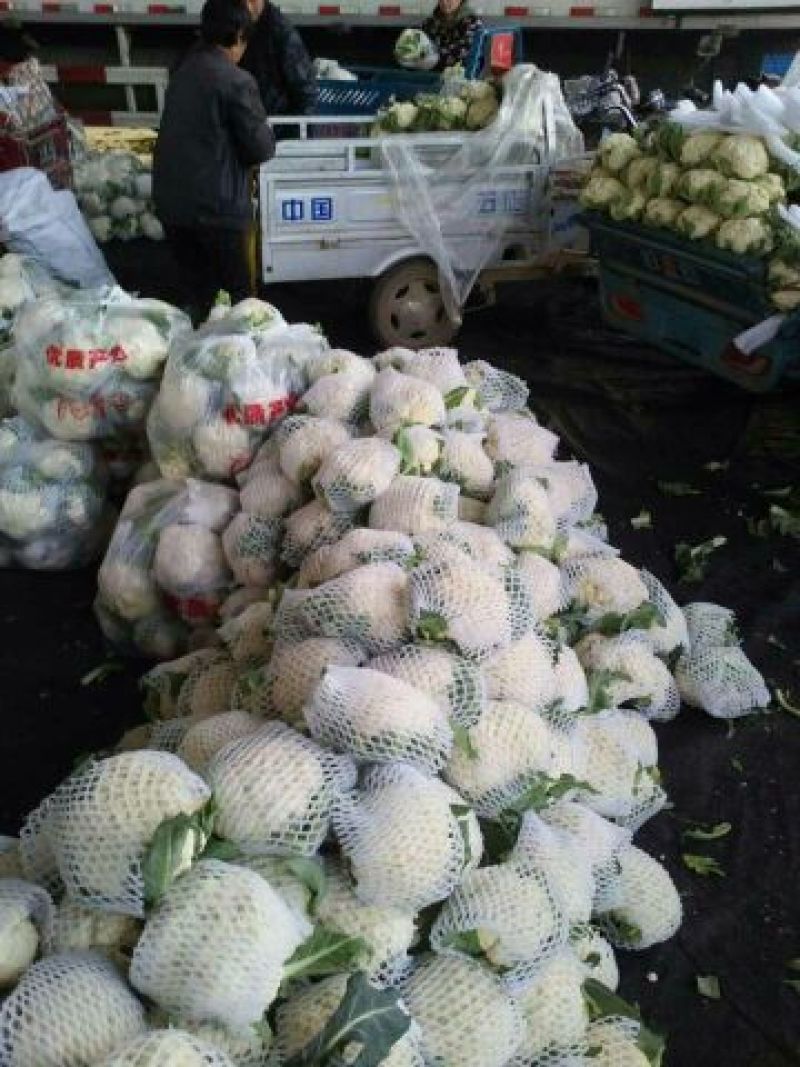 松散花大量上市1~2斤【产地直销】《质量保证》