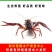 小龙虾小龙虾主养2-4钱（10-20克）活虾