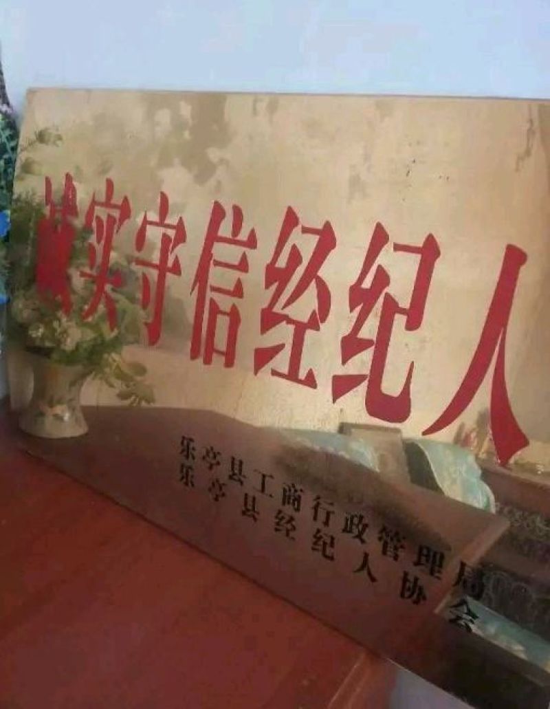 河北精品绿宝甜瓜，各种甜瓜，大量有货，产地一手货源！