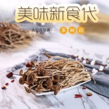 茶树菇古田自己种植茶树菇