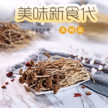 茶树菇古田自己种植茶树菇