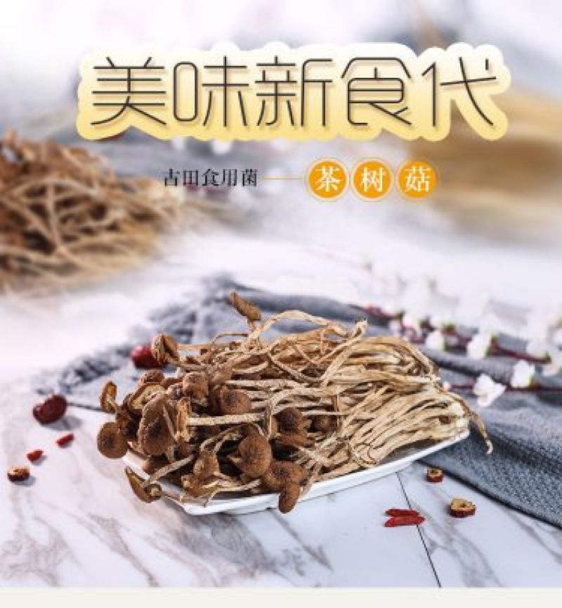 茶树菇古田自己种植茶树菇