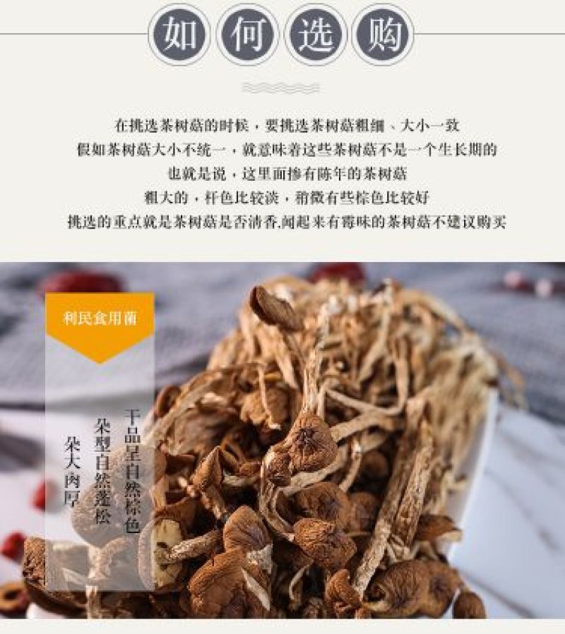 茶树菇古田自己种植茶树菇